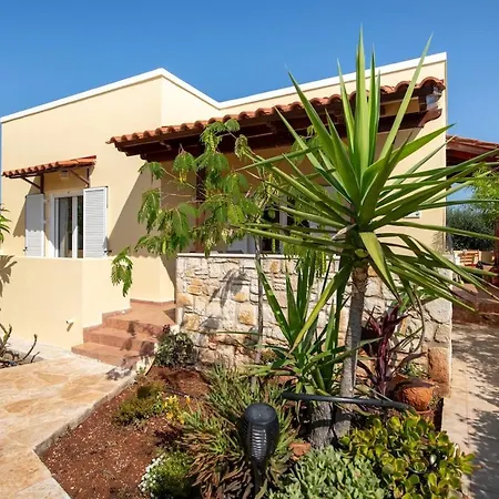 Olive Grove - Eleni Villa