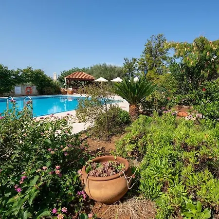 Olive Grove - Eleni Villa