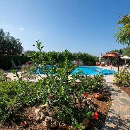 Olive Grove - Eleni Villa Chorafakia