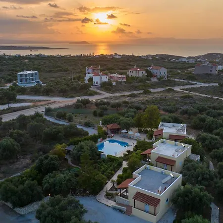 Olive Grove - Eleni Villa